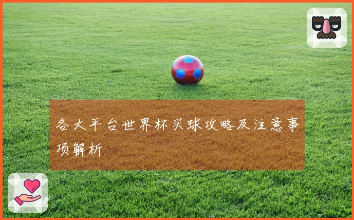 各大平台世界杯买球攻略及注意事项解析