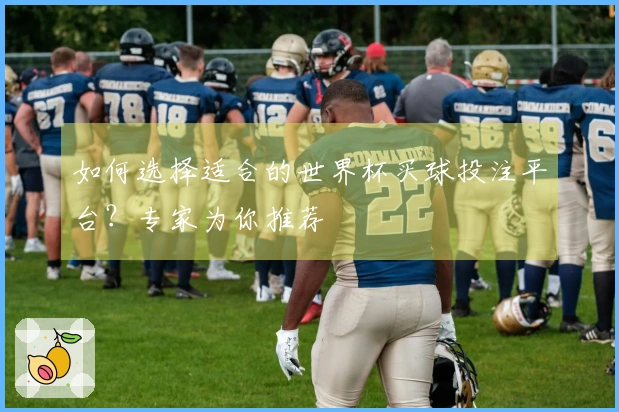 如何选择适合的世界杯买球投注平台？专家为你推荐