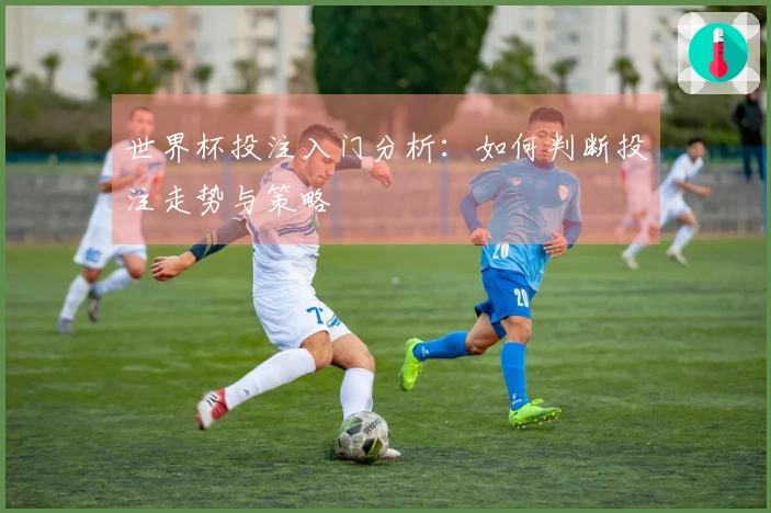 世界杯投注入门分析：如何判断投注走势与策略