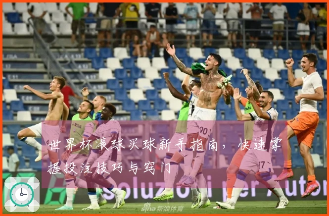 世界杯滚球买球新手指南，快速掌握投注技巧与窍门