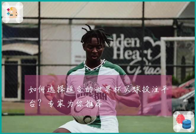 如何选择适合的世界杯买球投注平台？专家为你推荐